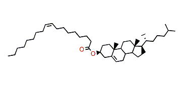 Cholest-5-en-3b-ol 9-octadecenoate